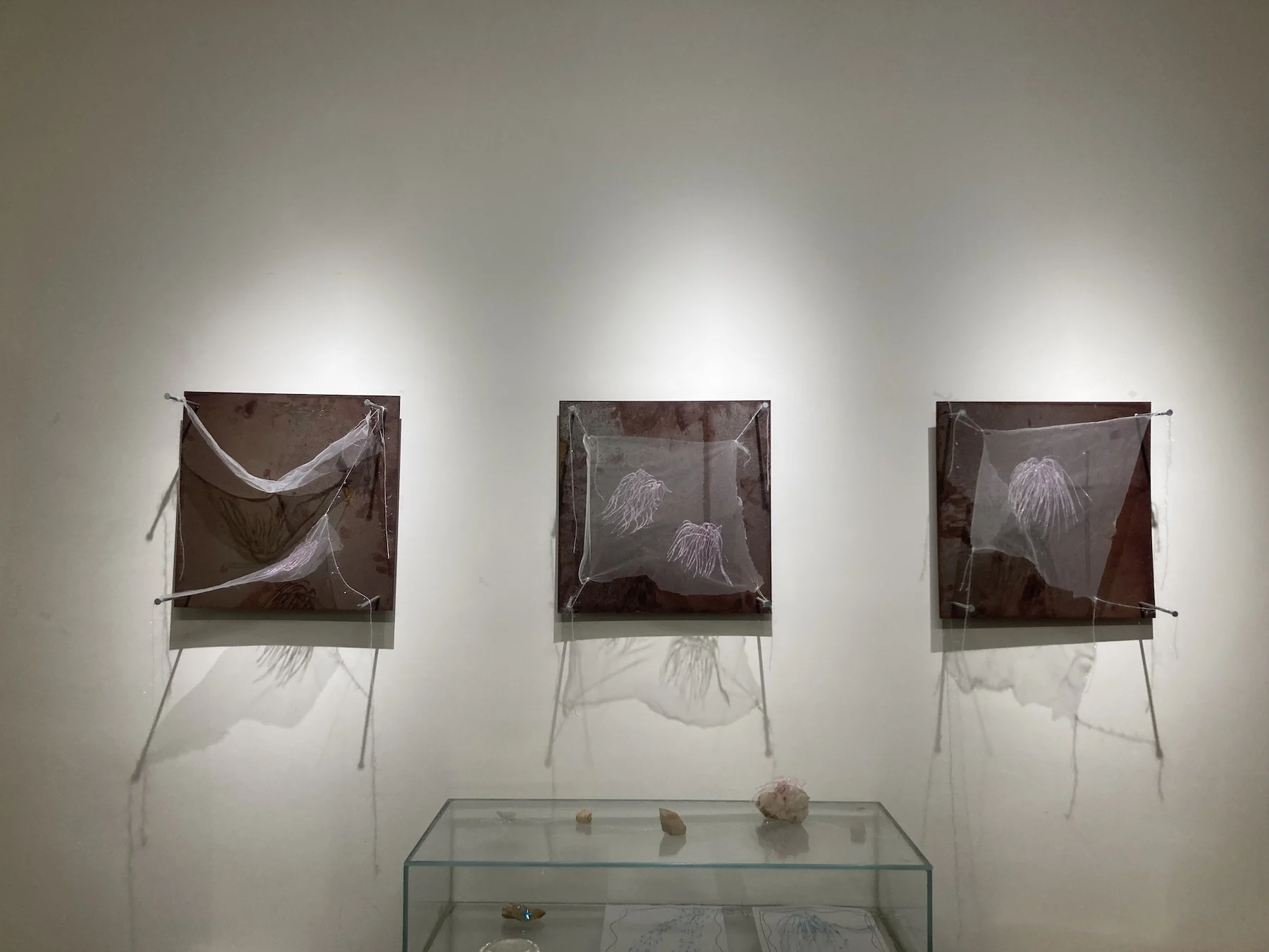 Artist main image