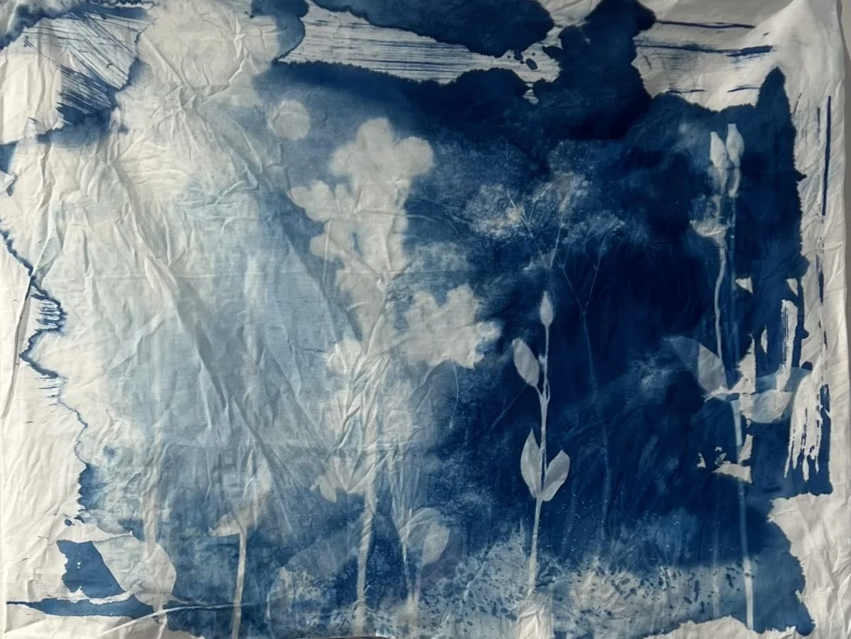 Fotografía
