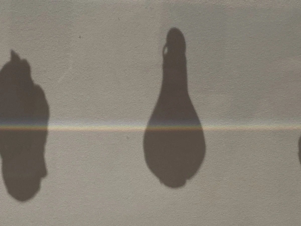 Fotografía